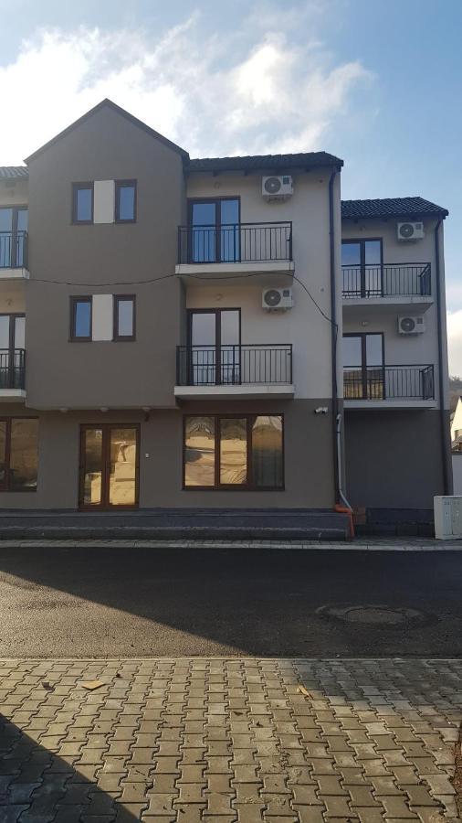 Apartament 11 Budiu Târgu-Mureş Buitenkant foto